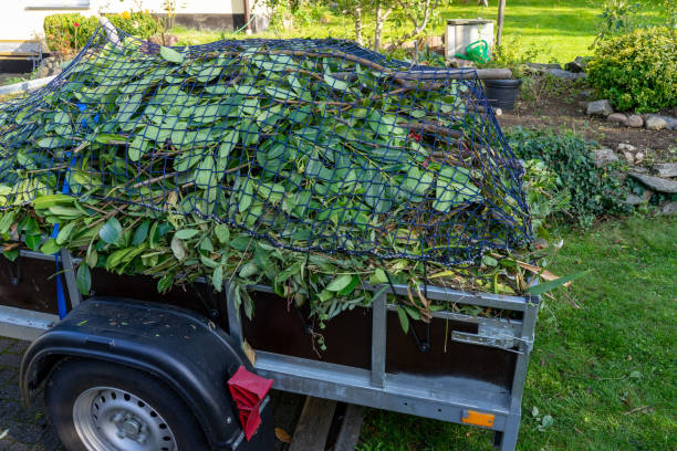 Professional Junk Removal Services in Paramus, NJ